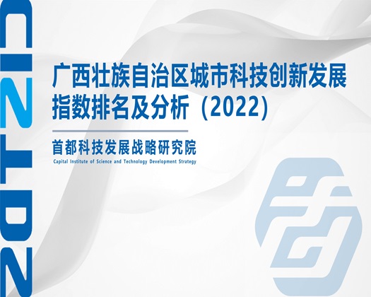 嗯嗯想要操【成果发布】广西壮族自治区城市科技创新发展指数排名及分析（2022）